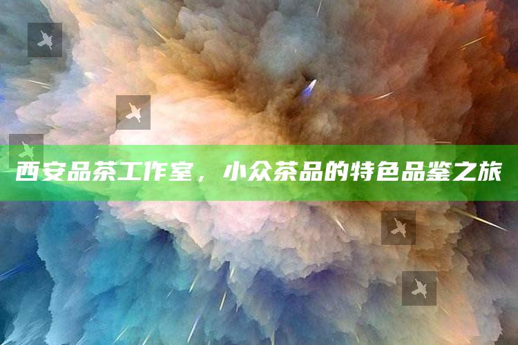 西安小众茶品品鉴之旅，探索品茶工作室的独特魅力