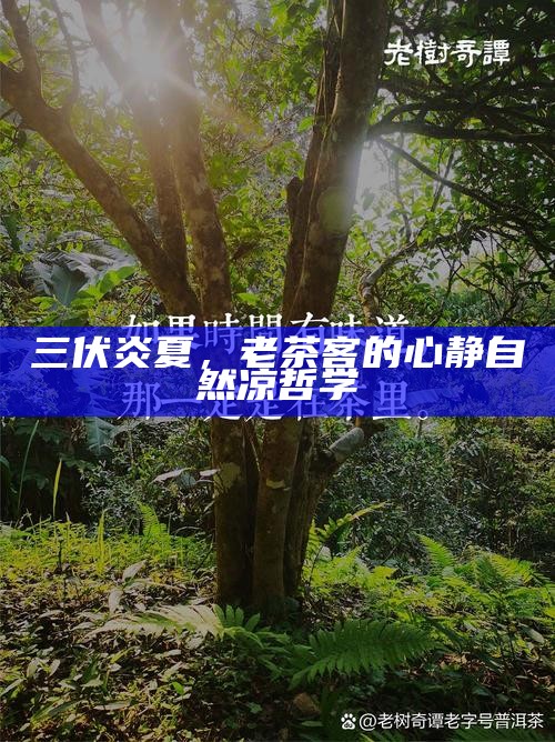 三伏炎夏，老茶客的心静自然凉哲学