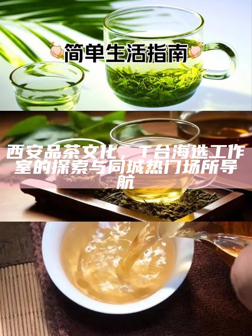 西安品茶，T台海选中的高性价比体验