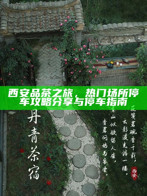 西安品茶之旅，热门场所停车攻略分享与停车指南